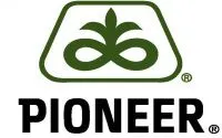 Семена кукурузы Пионер П9000 / P9000