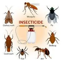 Инсектициды (от насекомых)