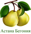 Aстaнa Бегoния логотип