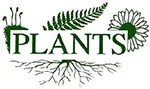 PLANTS COMPANY