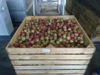 Деревянный и комбинированный контейнер для хранения овощей, яблок и других фруктов