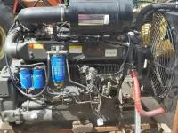 Двигатель Weichai WD10G220E23