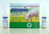 Вакцина против рожи свиней из штамма ВР-2 живая сухая, амп. 18 доз