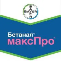 Гербицид Бетанал максПро