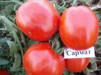 Семена томата Сармат