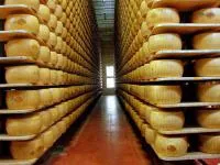 Сыр сычужно-твердый СТ РК 1063-2002