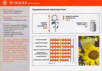 Семена подсолнечника Лимагрейн ЛГ 5658 КЛ