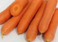 Семена моркови Нирвана / Nirvana, Гавриш