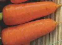 Семена моркови Ред Кор / Red Kor, Гавриш