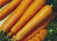 Семена моркови Нантская 4 / Nantskaya 4, Гавриш