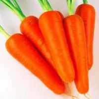 Семена моркови Абако F1 / Abako F1, Seminis