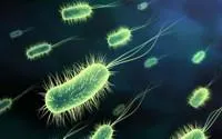 Химия для борьбы с микроорганизмами и водорослями в бассейне