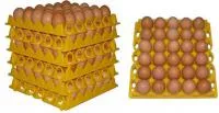 Пластиковые лотки для яиц