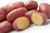 Семена картофеля Розара, элита, фракция 28-60 мм