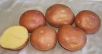Семена картофеля Браво, Элита, фракция 28-60 мм