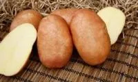 Семена картофеля Краса, Элита, фракция 28-60 мм