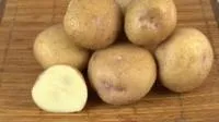 Семена картофеля Синеглазка, Элита, фракция 28-60 мм