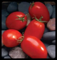 Семена томатов Mariana F1 - Мариана F1, от фирмы Sakata
