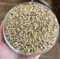 Семена овса