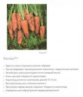 Семена моркови Каскад F1 1,4-1,6 mm (500 000 семян)