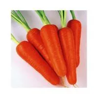 Семена моркови Абако F1 1,6-1,8 mm (1 млн. с.)
