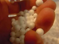 Предвспениватели полистирола