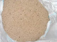 Семена люпина желтого сорт Владко элита и суперэлита