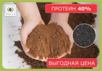 Шрот рапсовый (АСВ - 40%)