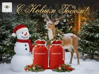 Рапсовый шрот (протеин 45%) - с доставкой автотранспортом