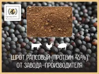 Шрот рапсовый (45% протеин на АСВ) Кыргызстан, Узбекистан