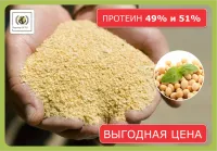 Шрот соевый (протеин 49% и 51%)