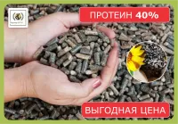 Шрот подсолнечный (протеин на АСВ 39-40%) со склада