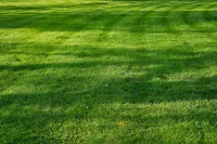 Травосмесь для укрепления откосов