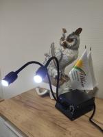 Осветитель светодиодный Dual Goose LED