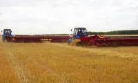 Жатка валковая зерновая ЖВЗ-10,7
