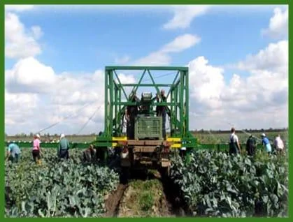 Оборудование по сбору урожая овощей Европа